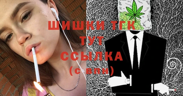 индика Гусиноозёрск