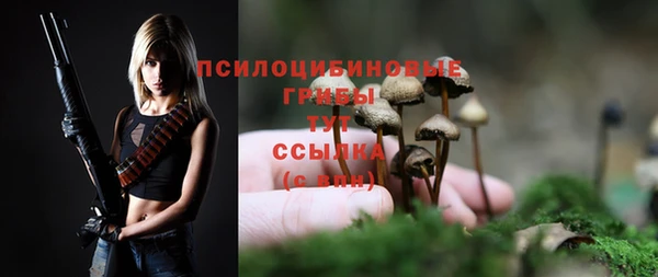 jwh Горняк