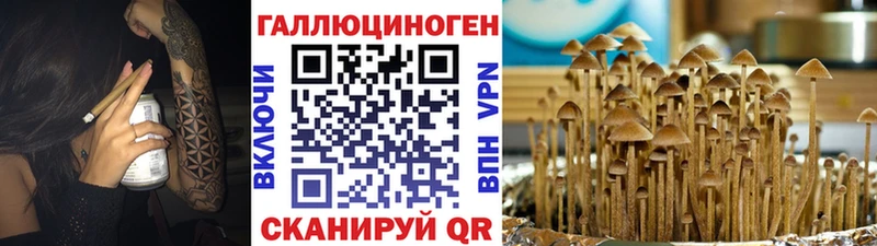 Псилоцибиновые грибы прущие грибы  Купить где  Задонск 